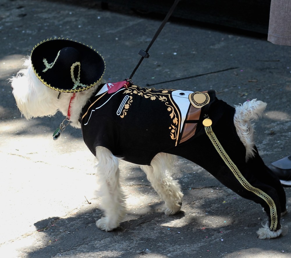 KIng William Fair, King William Association, Fiesta, San Antonio, Texas